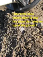 Seated Dime 003.webp