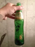 image.webp
