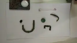 1446419849029.webp