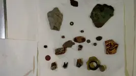 1446419862255.webp