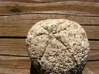 DSCF1007.webp