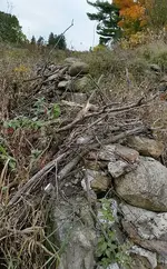 20151018_085424_resized-crop.webp