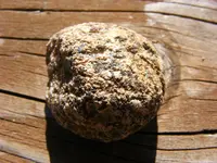 DSCF1016.webp