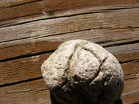 DSCF1022.webp