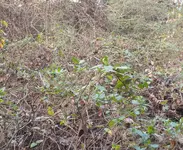 DSCN2112.webp DSCN2112.webp