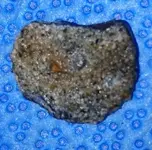DSC_3247.webp