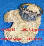 Doc Beav 2015 Gold Ring #19.webp