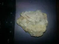 20151128_055433.webp