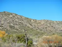 DSCN6775.webp