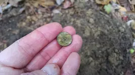 silver gilt with dimple.webp