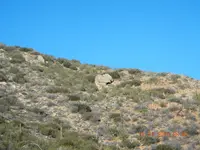 DSCN6780.webp