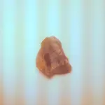 chert - back.webp