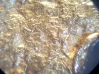 1101151326.webp