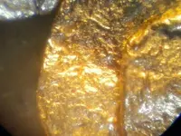 1101151329.webp