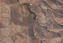 cougarrock.webp cougarrock.webp