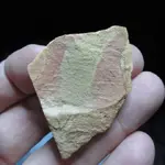 pottery front.webp