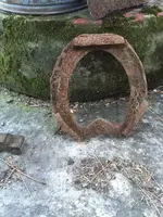 horse shoe.webp