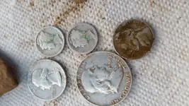 silvers.webp