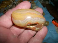 100_4007.webp