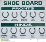 horse-shoe-board-collection-different-types-shoes-56576058.webp