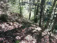 20151025_151519_6_bestshot.webp