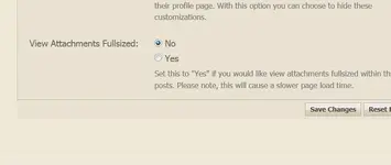 4.webp