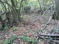 20151025_161746_3_bestshot.webp