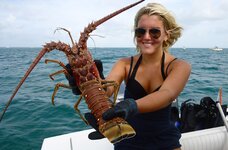lobster-august.jpg