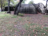 IMG_1963.webp IMG_1963.webp