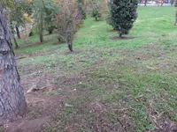 IMG_2058.webp
