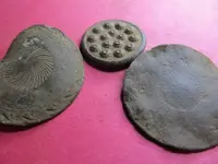 N_Buttons.webp