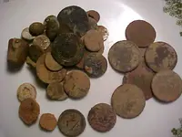 n1lot.webp