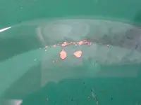 20140809_183342.webp 20140809_183342.webp