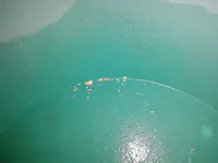 20140914_092948.webp