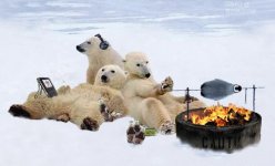 polar-bears-roasting-penguin.jpg