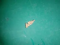 20150606_192646.webp 20150606_192646.webp