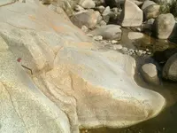 1445803295942.webp