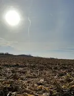 20151118_093119_resized-crop.webp