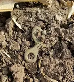 20151118_105354_resized-crop.webp