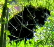 IMG_1469-Thingcrop.webp