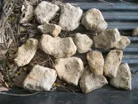 civil war relics 011.webp