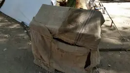 1444707732404.webp
