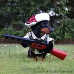 ImageUploadedByTreasureNet.com1449525781.854235.webp ImageUploadedByTreasureNet.com1449525781.854235.webp