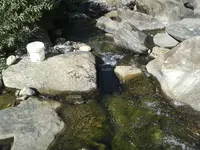 20140823_101151.webp