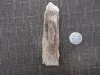 DSCF1734.webp