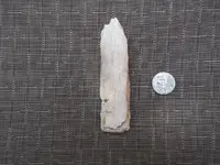 DSCF1733.webp