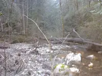 20150312_085356.webp