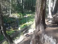 20150926_144736.webp