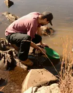 Jerrypanning3.webp