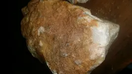 20151119_095236.webp